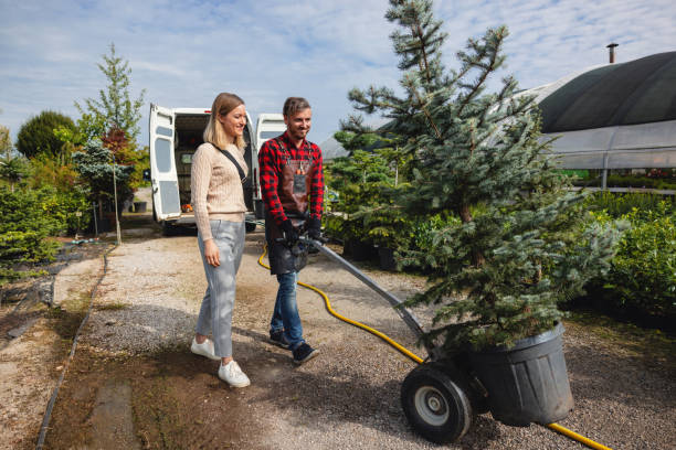 Best Tree Health Inspection  in Applewood, CO